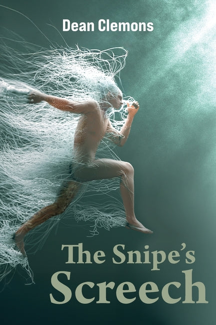 Book cover for Snipe's Screech
