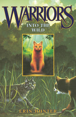 Book cover for Into the Wild