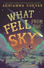 Book cover for What Fell from the Sky