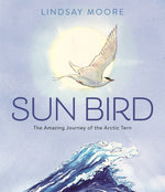 Book cover for Sun Bird: The Amazing Journey of the Arctic Tern