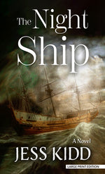 Book cover for The Night Ship