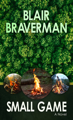 Book cover for Small Game