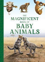 Book cover for Magnificent Book of Baby Animals