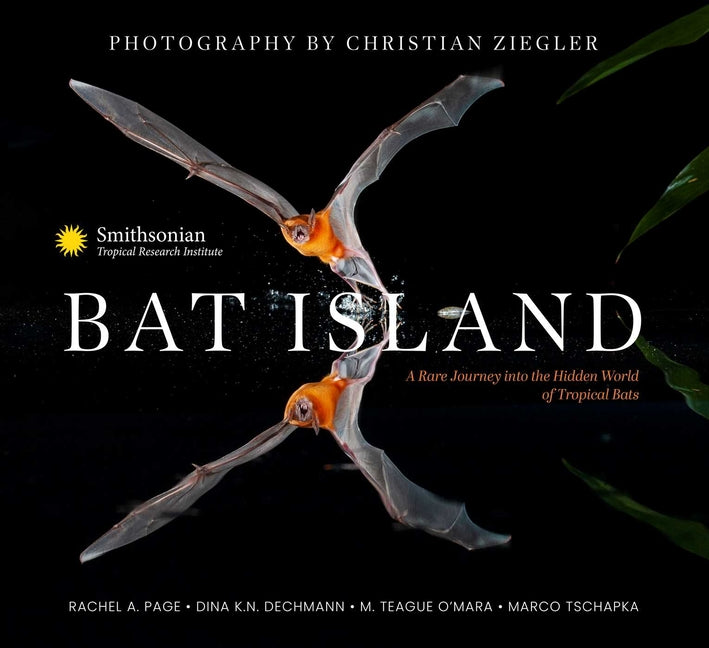 Book cover for Bat Island: A Rare Journey Into the Hidden World of Tropical Bats