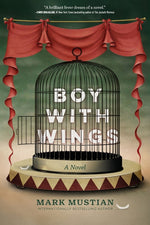 Book cover for Boy With Wings