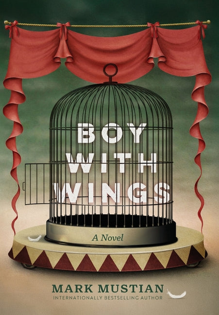 Book cover for Boy With Wings
