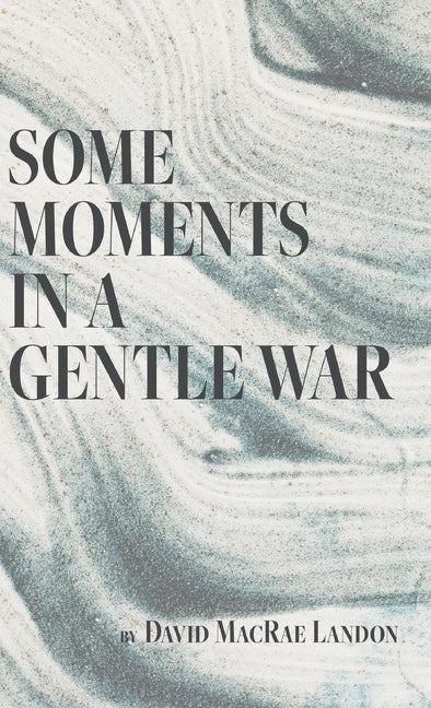 Book cover for Some Moments in a Gentle War