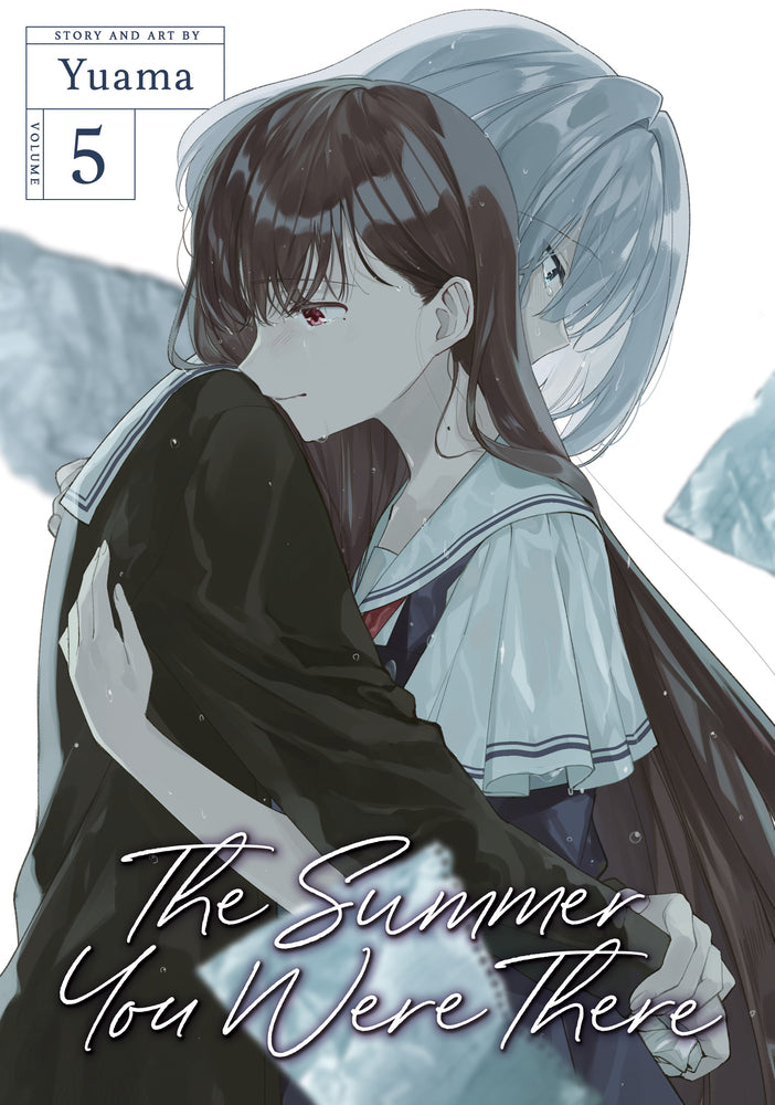 Book cover for The Summer You Were There Vol. 5