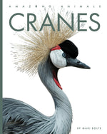 Book cover for Cranes