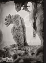 Book cover for Tomas Van Houtryve: 36 Views of Notre Dame