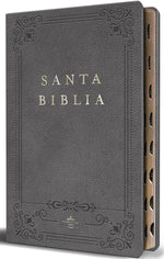 Book cover for Biblia Rvr 1960 Letra Grande Tamaño Manual, Piel Gris Con Índice / Spanish Bible Rvr 1960 Handy Size Large Print Leathersoft Gray with Index