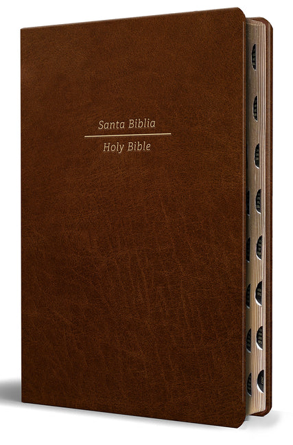 Book cover for Biblia Bilingüe Reina Valera 1960 (Esv) Letra Grande Símil Piel Marrón Con Índice/ Bilingual Bible Rvr 1960 (Esv) Large Print Brown Leathersoft with T