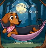 Book cover for Lola's Night Under the Stars