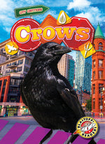 Book cover for Crows