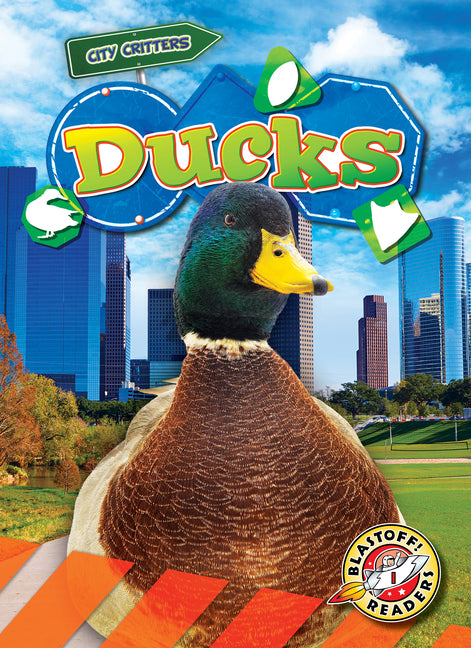 Book cover for Ducks