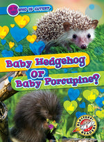Book cover for Baby Hedgehog or Baby Porcupine?