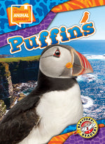 Book cover for Puffins