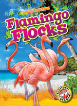 Book cover for Flamingo Flocks
