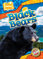 Book cover for Black Bears