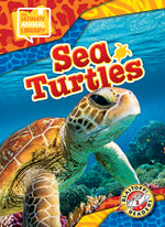 Book cover for Sea Turtles