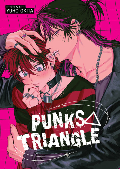 Book cover for Punks Triangle