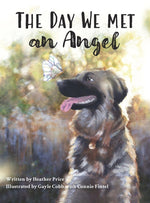 Book cover for Day We Met an Angel
