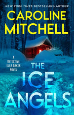 Book cover for Ice Angels