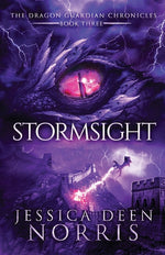Book cover for Stormsight