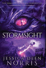 Book cover for Stormsight
