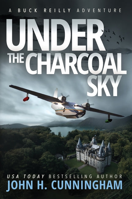 Book cover for Under the Charcoal Sky
