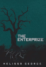 Book cover for Enterprize