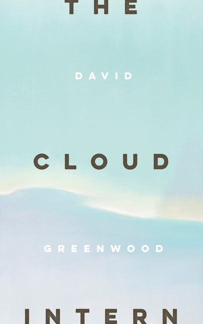Book cover for Cloud Intern