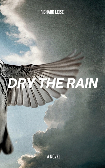 Book cover for Dry The Rain