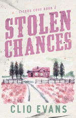 Book cover for Stolen Chances: A Single Mom, MMF, Small Town Romance Suspense