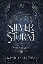 Book cover for Silver Storm