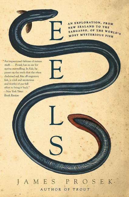 Book cover for Eels: An Exploration, from New Zealand to the Sargasso, of the World's Most Mysterious Fish