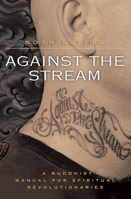 Book cover for Against the Stream: A Buddhist Manual for Spiritual Revolutionaries
