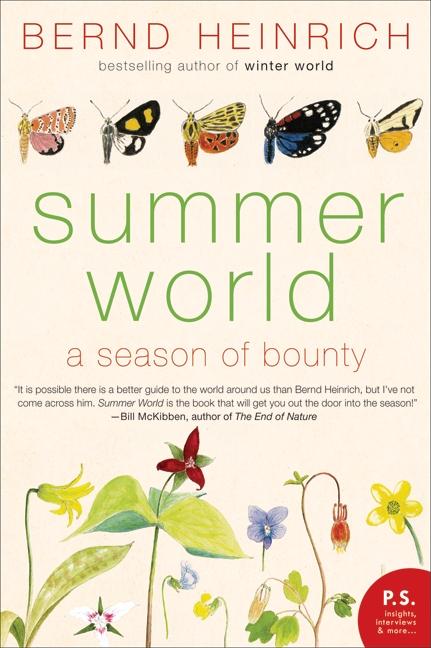 Book cover for Summer World: A Season of Bounty
