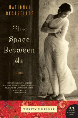 Book cover for The Space Between Us