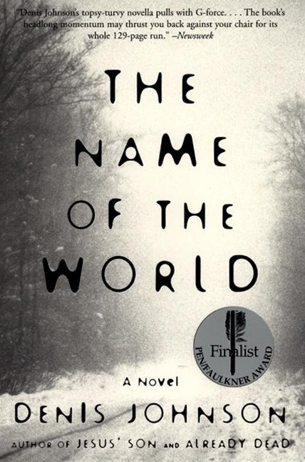 Book cover for Name of the World (Perennial)