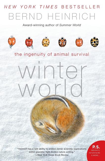 Book cover for Winter World: The Ingenuity of Animal Survival
