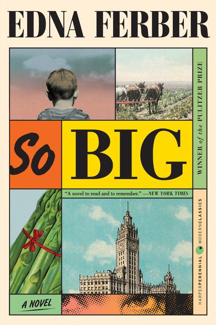 Book cover for So Big