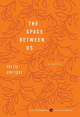 Book cover for The Space Between Us