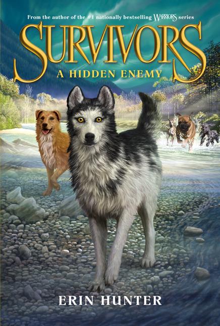Book cover for A Hidden Enemy
