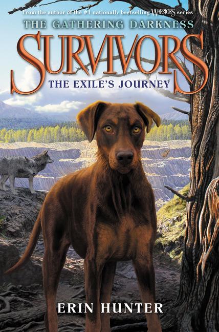 Book cover for Survivors: The Gathering Darkness: The Exile's Journey