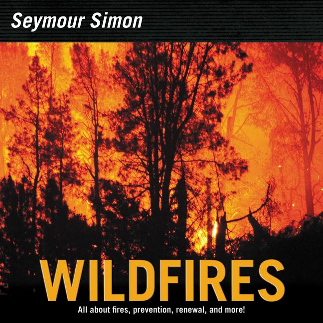 Book cover for Wildfires