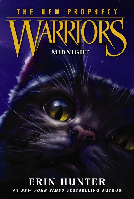Book cover for Midnight