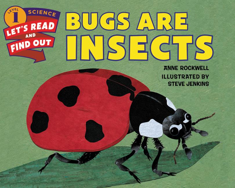 Book cover for Bugs Are Insects