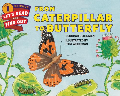 Book cover for From Caterpillar to Butterfly