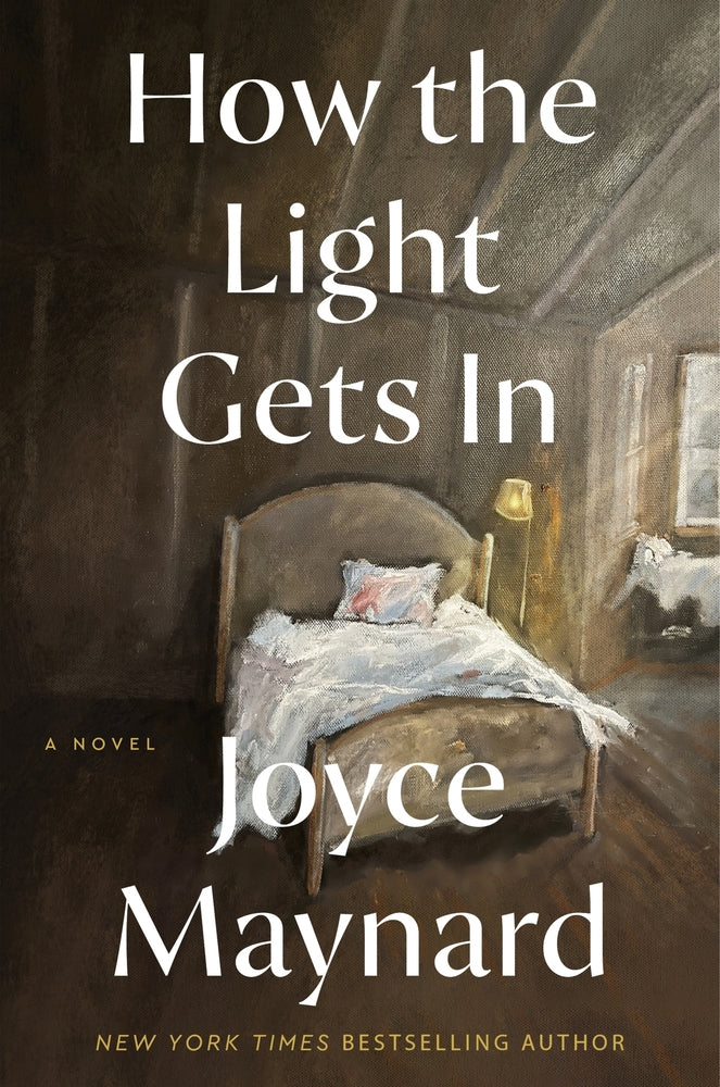 Book cover for How the Light Gets in
